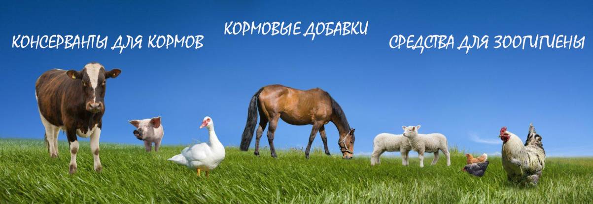 kormovye dobavki